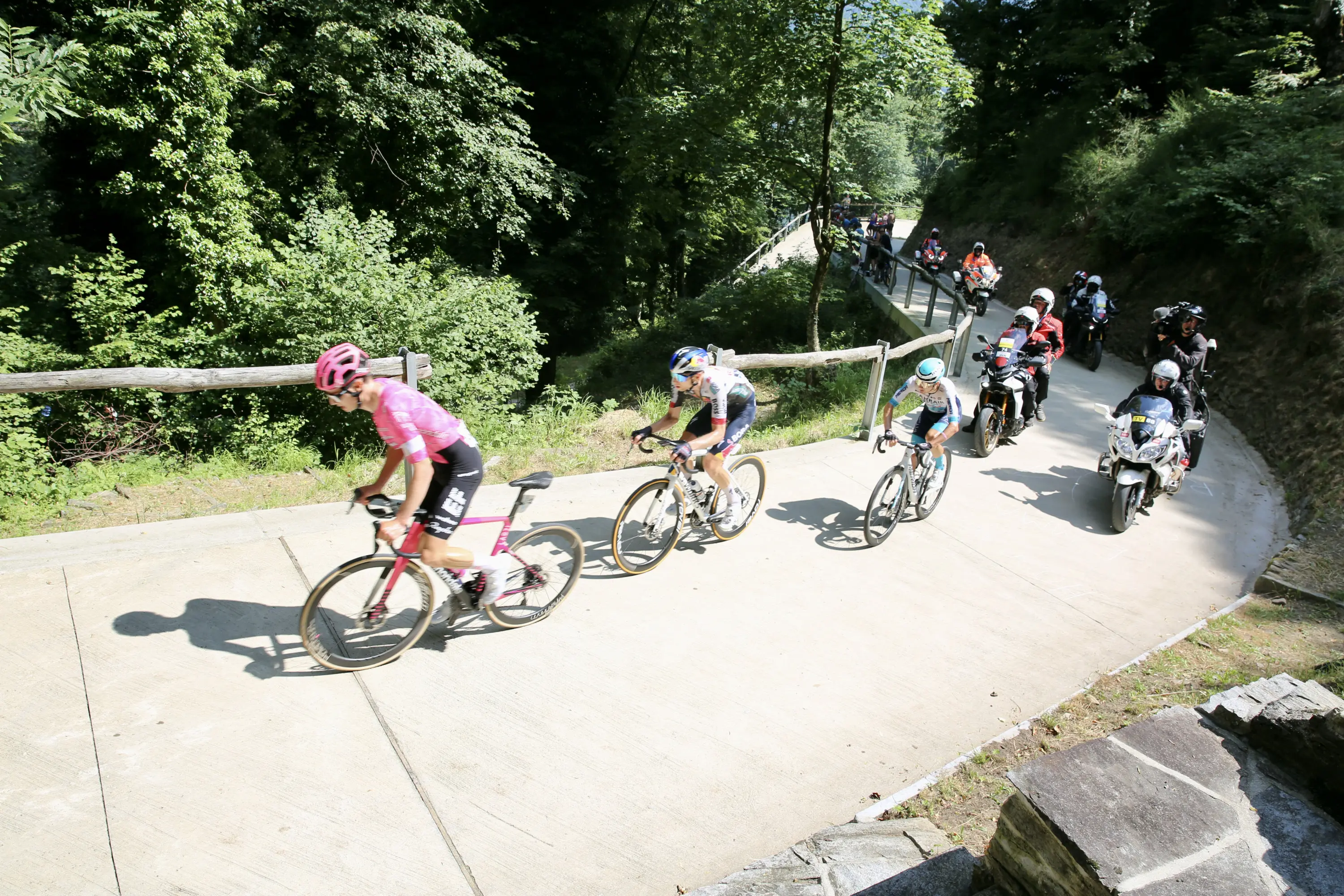 Ciclisti in gara su una strada in salita, circondati da alberi verdi e seguiti da veicoli. Uno dei ciclisti indossa una maglia rosa.