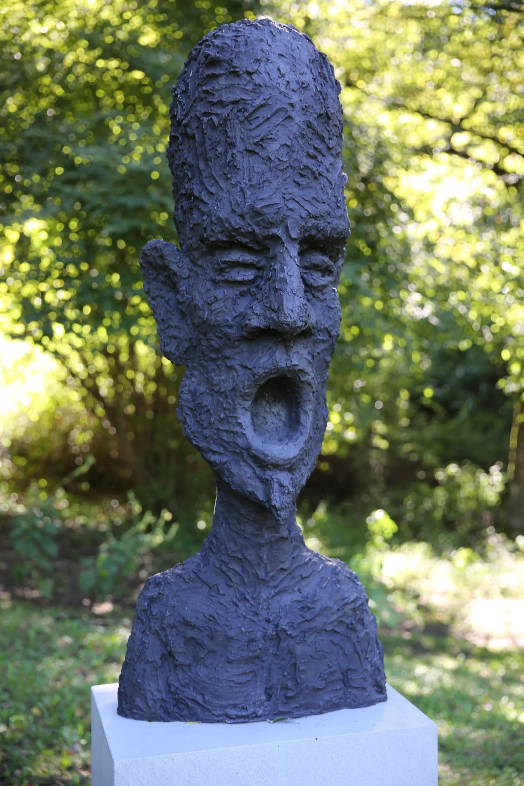 Scultura astratta in bronzo scuro che rappresenta un volto umano con espressione intensa e bocca aperta. Il volto ha un'acconciatura alta e angoli marcati, posizionato su un basamento di pietra in un contesto naturale.