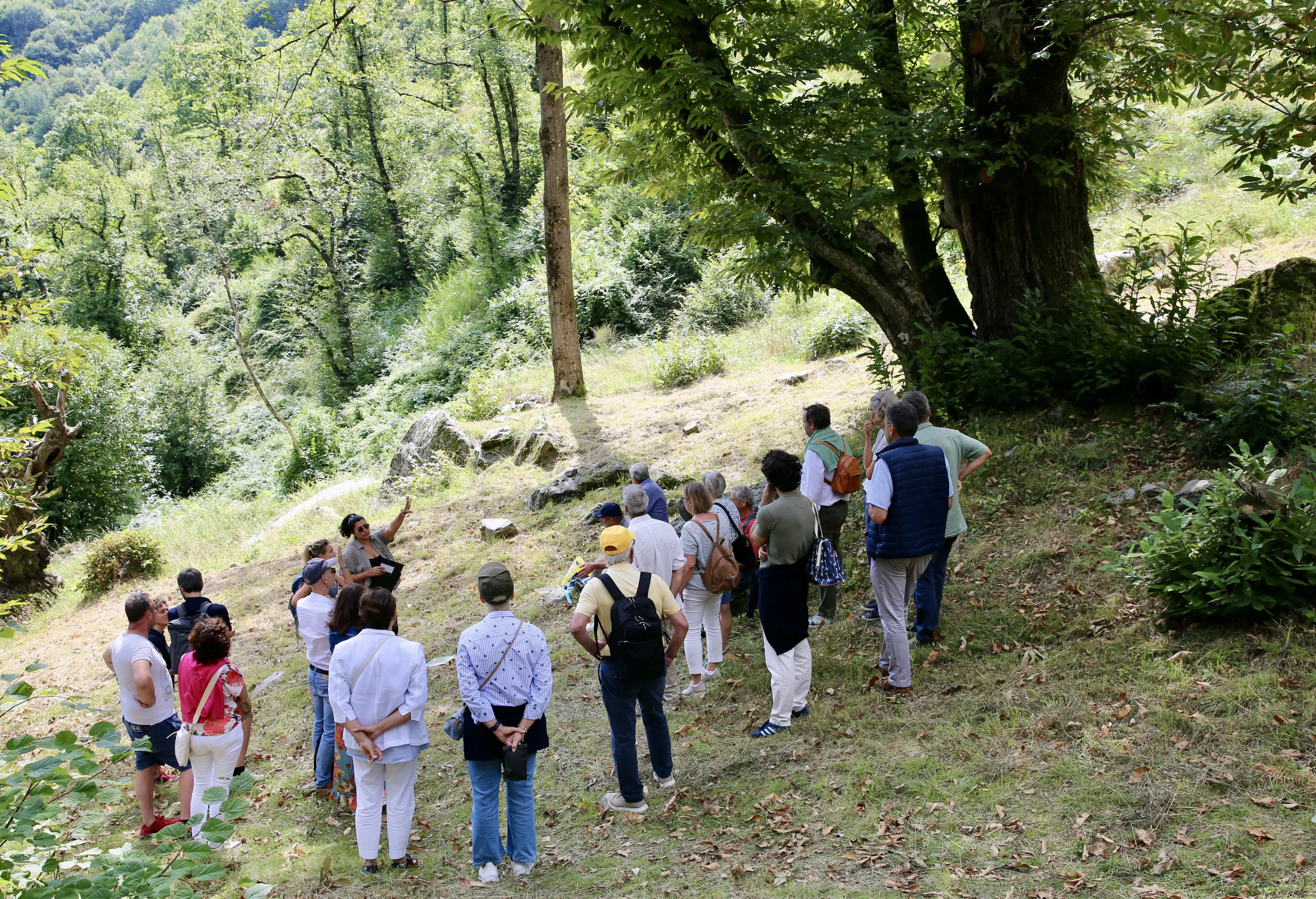 Un gruppo di persone ascolta attentamente una guida in un'area boschiva. Gli alberi verdi circondano la scena, creando un'atmosfera naturale e tranquilla.