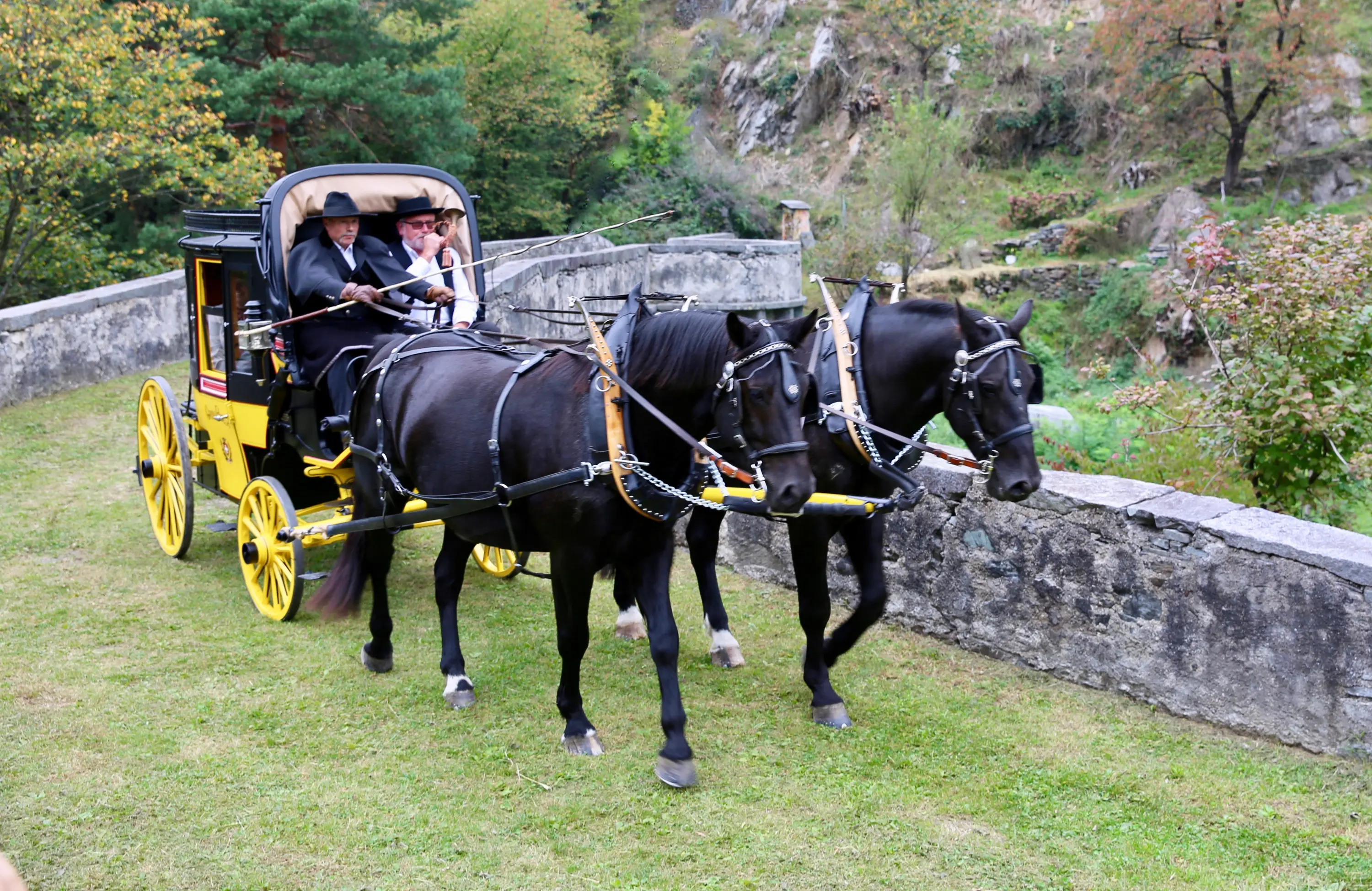 Una carrozza trainata da due cavalli neri attraversa un prato, con due persone a bordo. Sullo sfondo si vedono alberi e una parete di roccia.