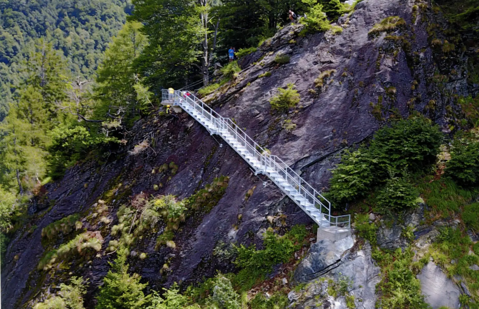 Scale metalliche si snodano su un ripido pendio roccioso circondato da alberi verdi. Alcune persone si trovano vicino alla cima della scala.
