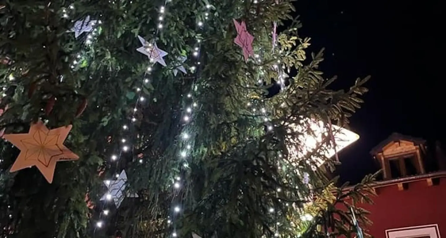 Albero di Natale illuminato con stelle di carta appese. La scena &egrave; notturna, con luci scintillanti che riempiono il ramo dell'albero.