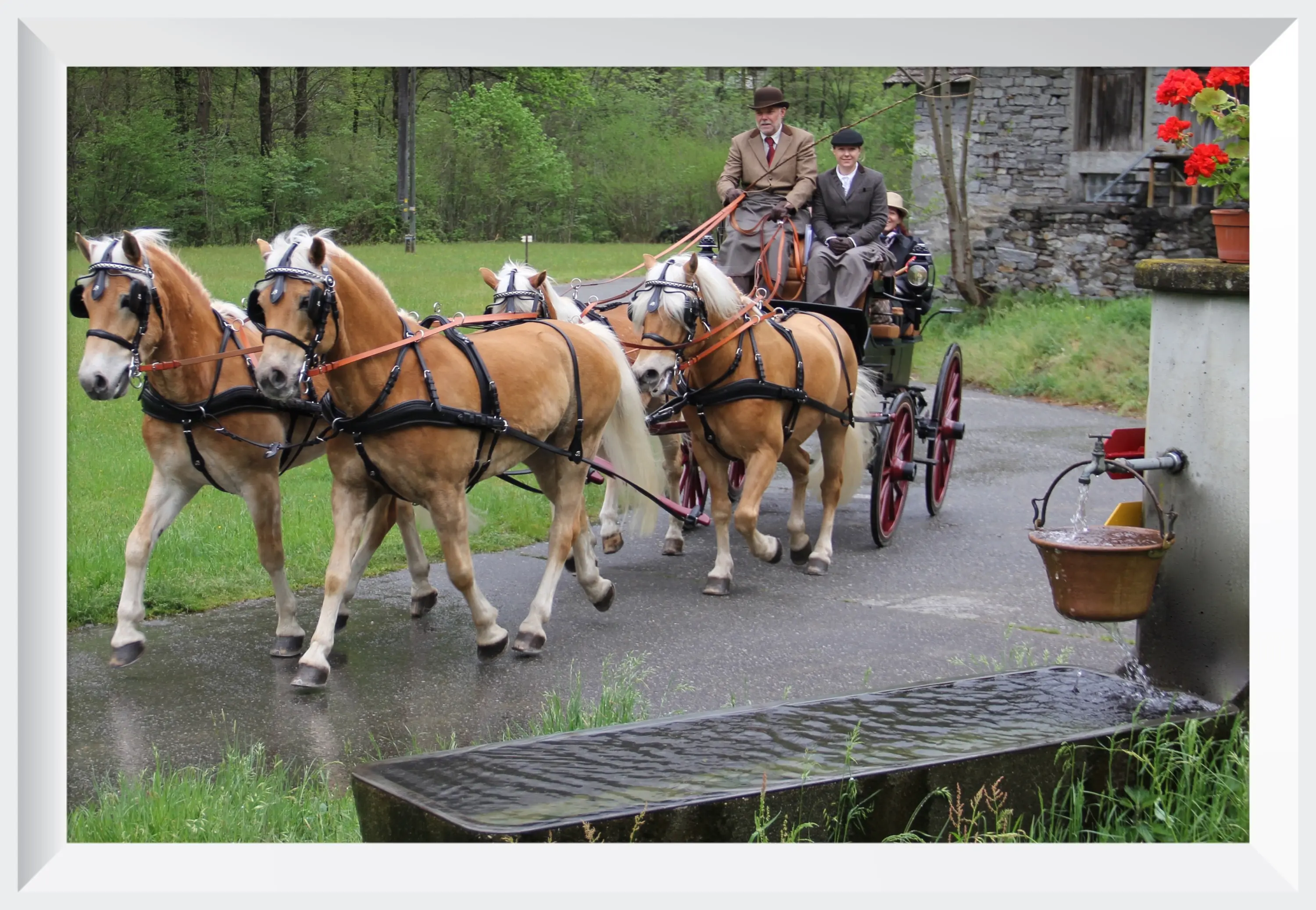 Una carrozza trainata da cavalli biondi percorre una strada in un paesaggio verde. Due uomini in abiti tradizionali guidano il carro, mentre un altro uomo è seduto comodamente. Sul lato, si vede una fontana che scorre.