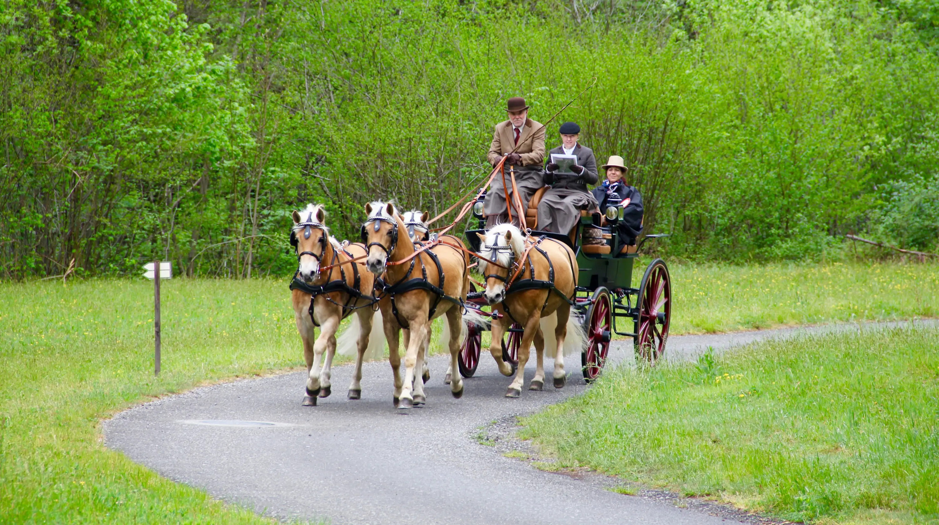 Un carro trainato da quattro cavalli percorre una strada ampia circondata da alberi verdi. A bordo ci sono tre persone vestite in abiti storici, due sono sedute davanti e una è sul retro.