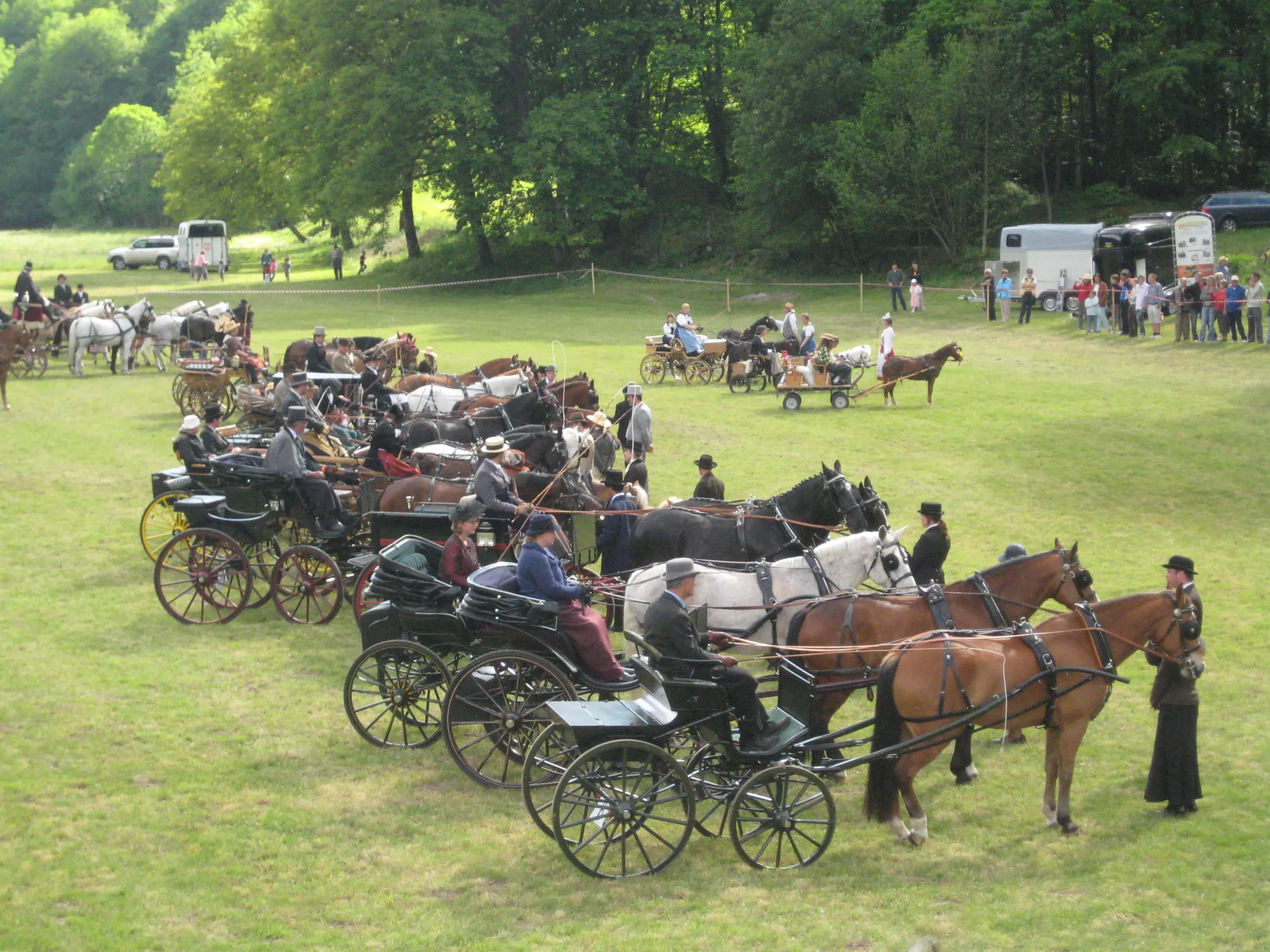 Ragazzi vestiti in abiti tradizionali partecipano a un raduno di carrozze nel prato, con molte carrozze trainate da cavalli parcheggiate in fila. Alcuni spettatori si trovano sullo sfondo.