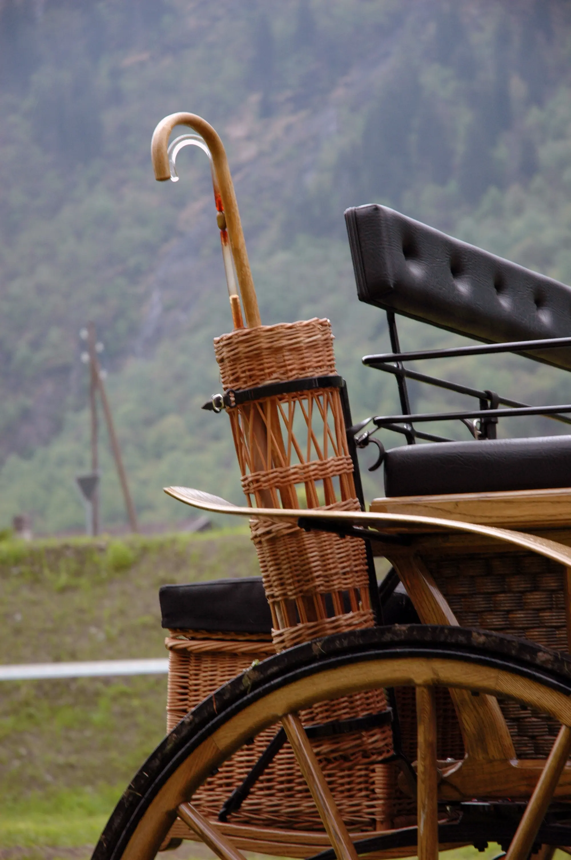 Carrozza elegante con dettagli in vimini, manico di ombrello in legno e seduta in pelle nera. Sullo sfondo si scorge un paesaggio montano sfocato.