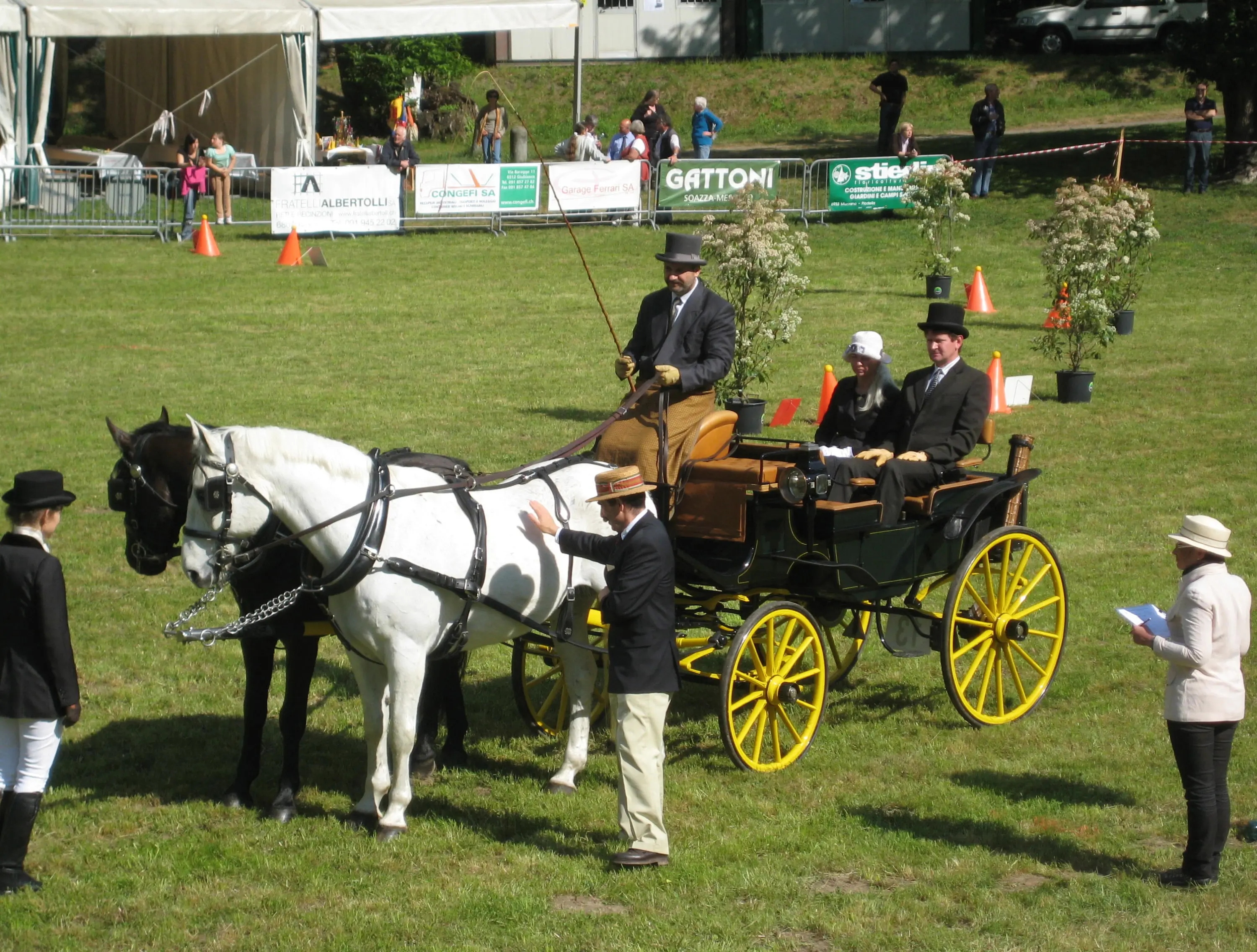Una carrozza trainata da cavalli bianchi e neri durante un evento equestre. Due uomini in giacca e bombetta sono seduti nella carrozza, mentre un uomo con un cappello di paglia interagisce con i cavalli. Sullo sfondo, si vedono spettatori e un’area allestita per l'evento.