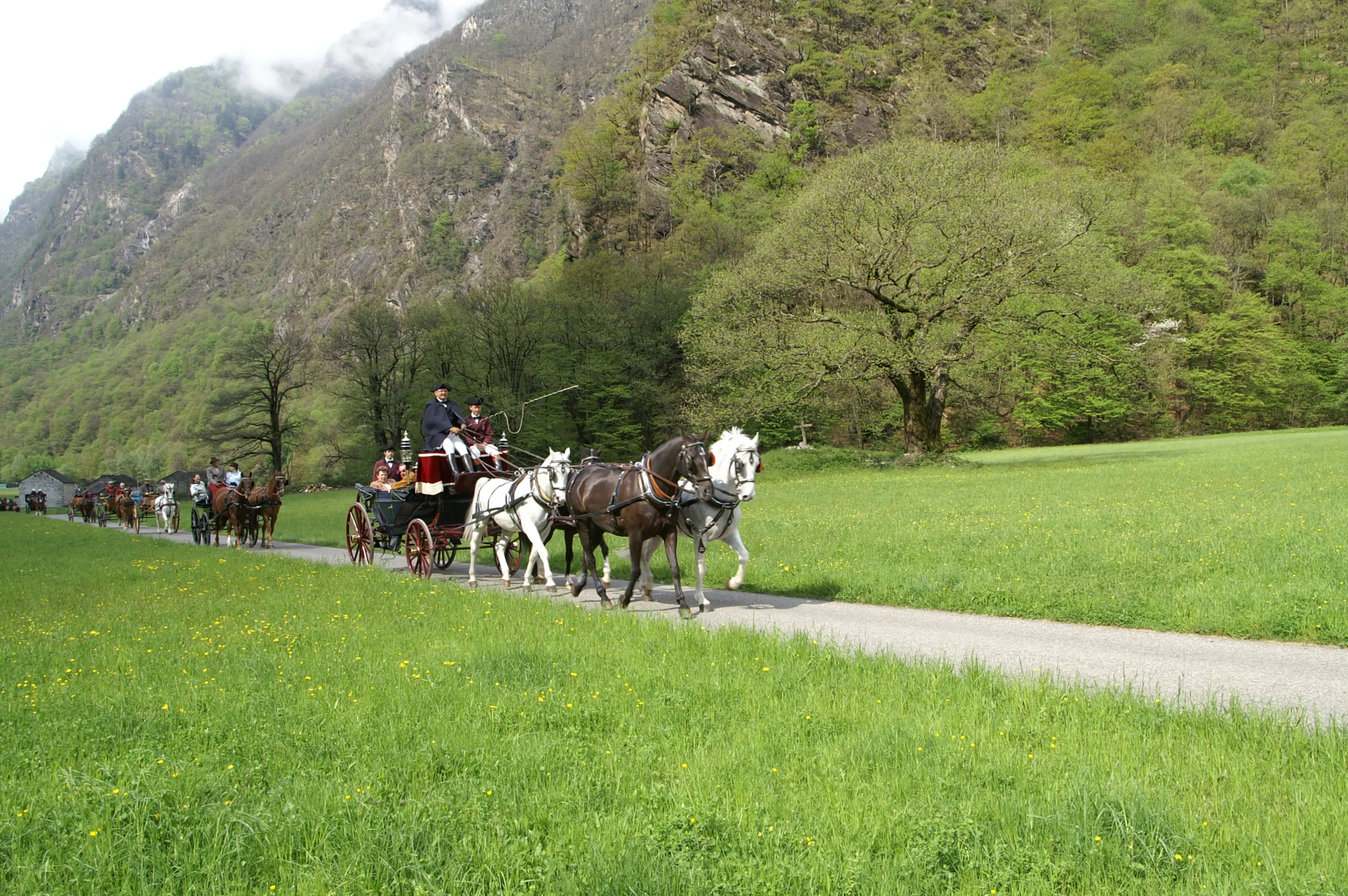 Carriaggi trainati da cavalli lungo una strada di campagna, circondati da colline verdi e alberi in un paesaggio montano. Nuvole basse coprono le vette.