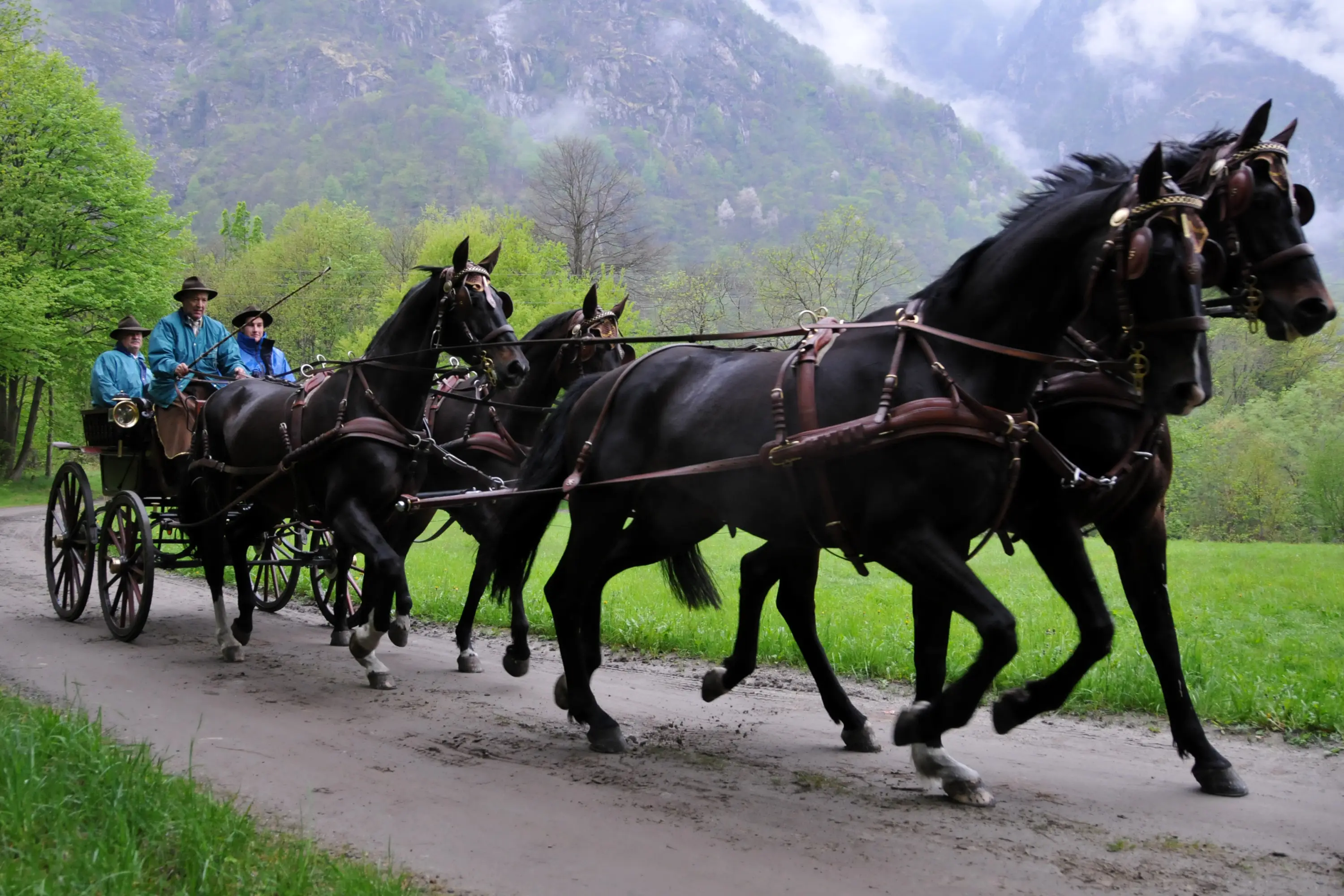 Quattro cavalli neri che tirano una carrozza, con due uomini vestiti in abbigliamento tradizionale a bordo, mentre si muovono lungo un sentiero circondato da alberi e montagne.
