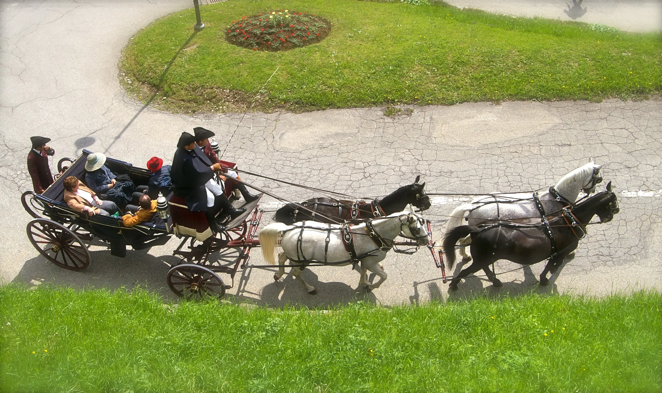 Un carro trainato da due cavalli, con persone a bordo, attraversa una strada in un paesaggio verdeggiante.