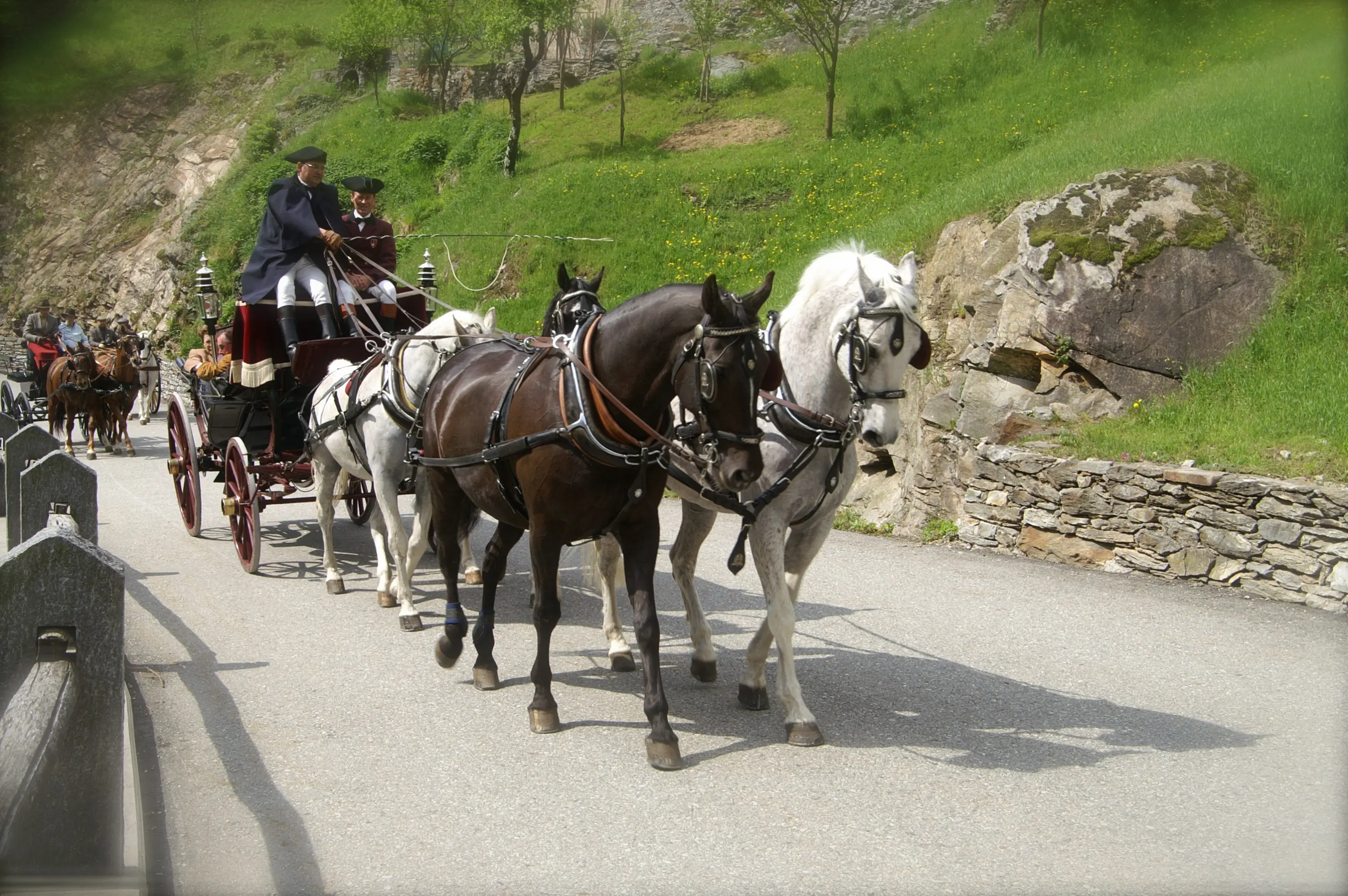 Una carrozza trainata da cavalli, con un conducente e un passeggero, percorre una strada circondata da vegetazione e rocce. I cavalli sono di diverse colorazioni, inclusi un cavallo nero e uno grigio.