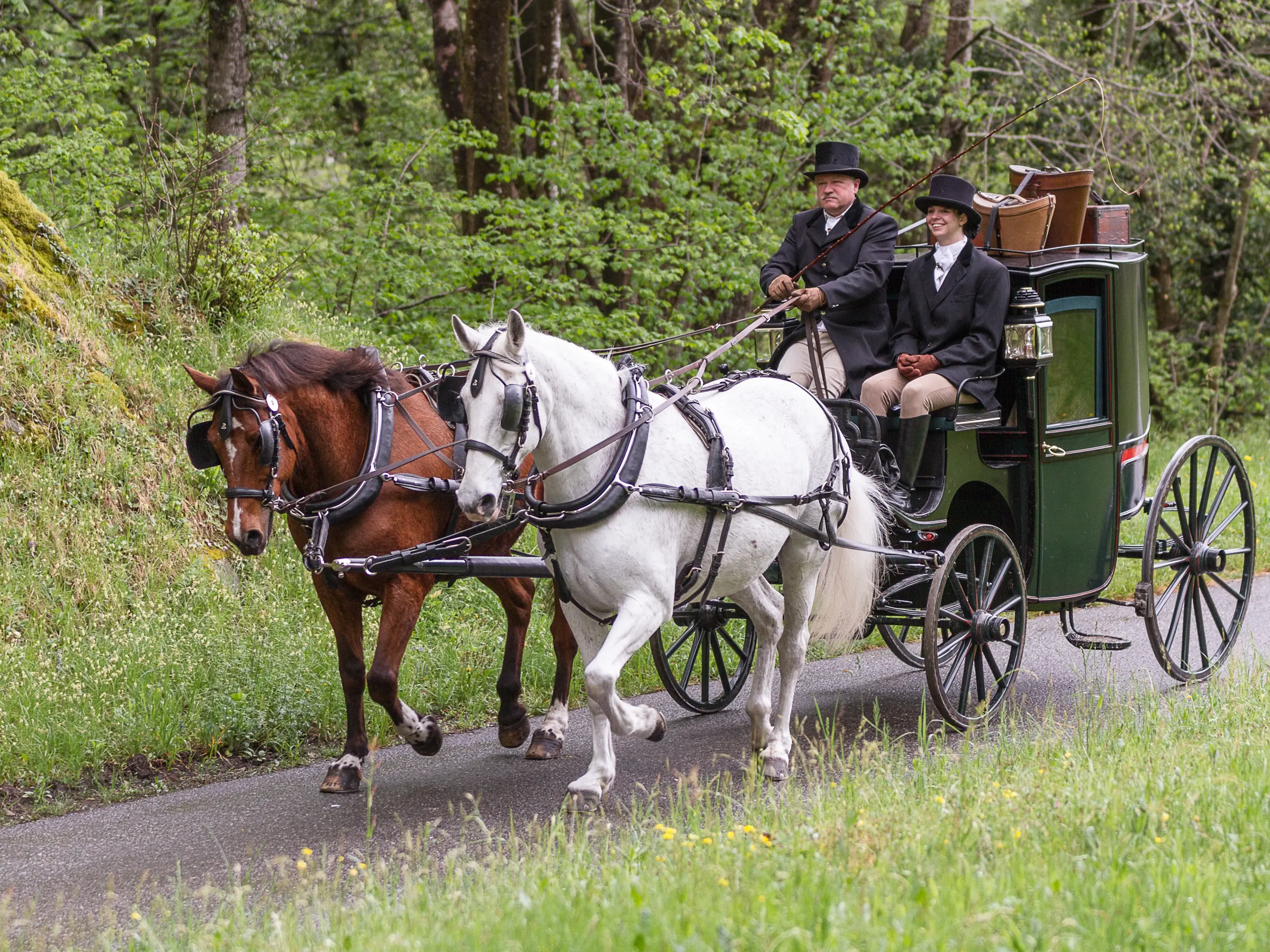 Due cavalli, uno marrone e uno bianco, trainano una carrozza verde lungo una strada circondata da alberi verdissimi. Due uomini vestiti in abiti d'epoca siedono nella carrozza, sorridendo.
