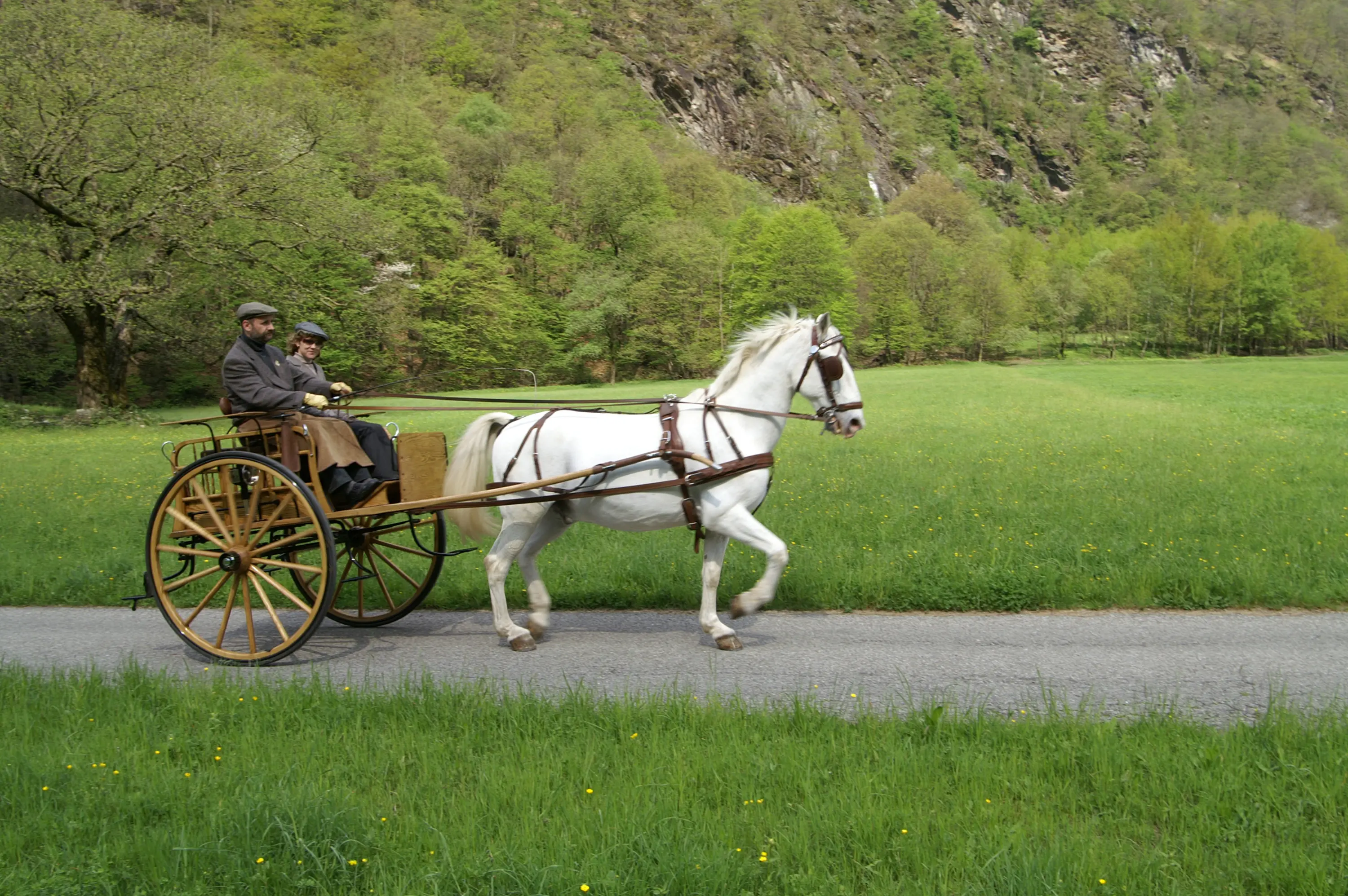 Due persone su una carrozza trainata da un cavallo bianco, che percorrono una strada in un paesaggio verde e naturale, circondati da alberi e colline.