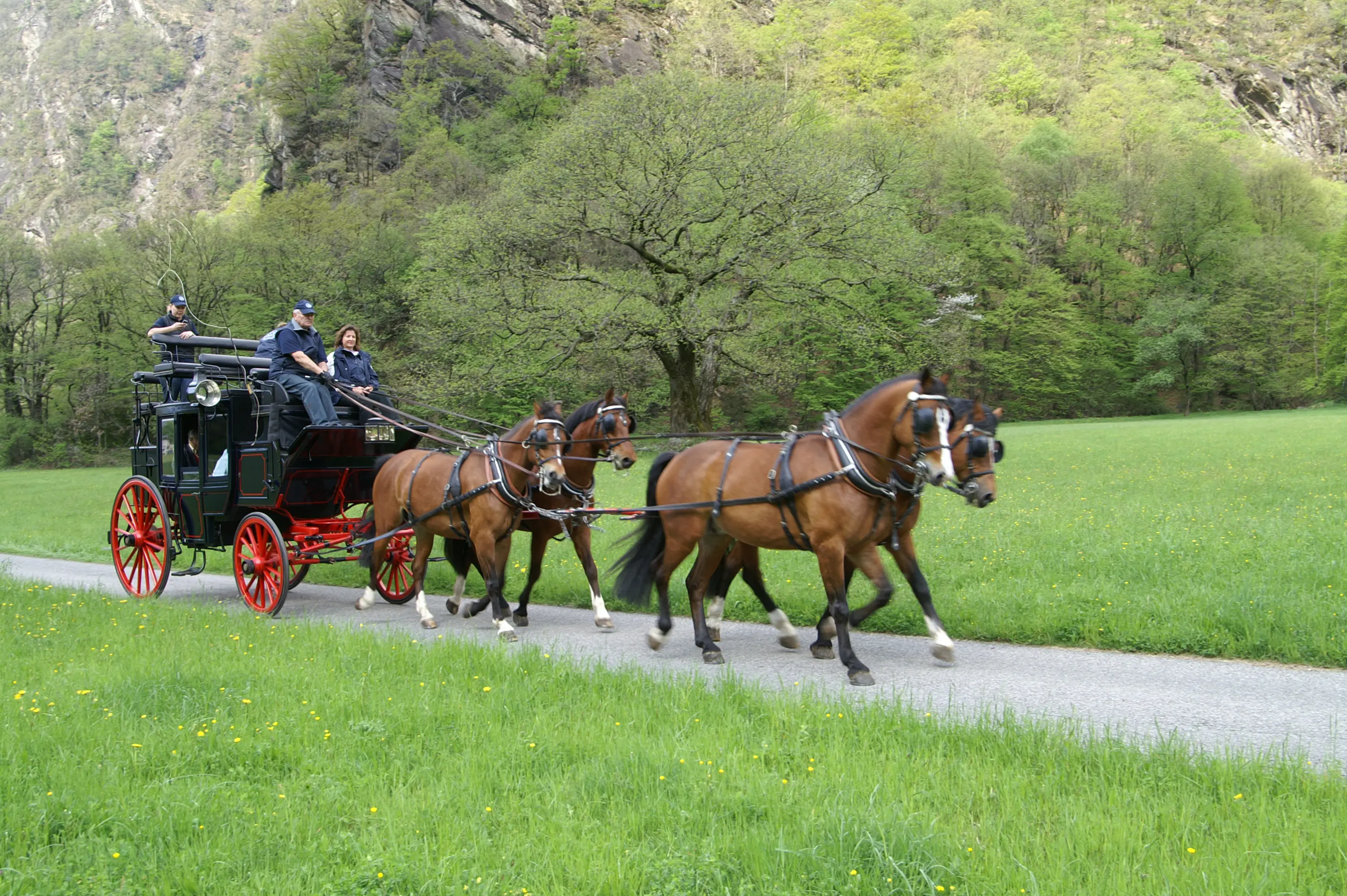 Una carrozza nera trainata da quattro cavalli dorati percorre un sentiero circondato da alberi verdi e colline. A bordo ci sono due persone, visibilmente sorridenti.