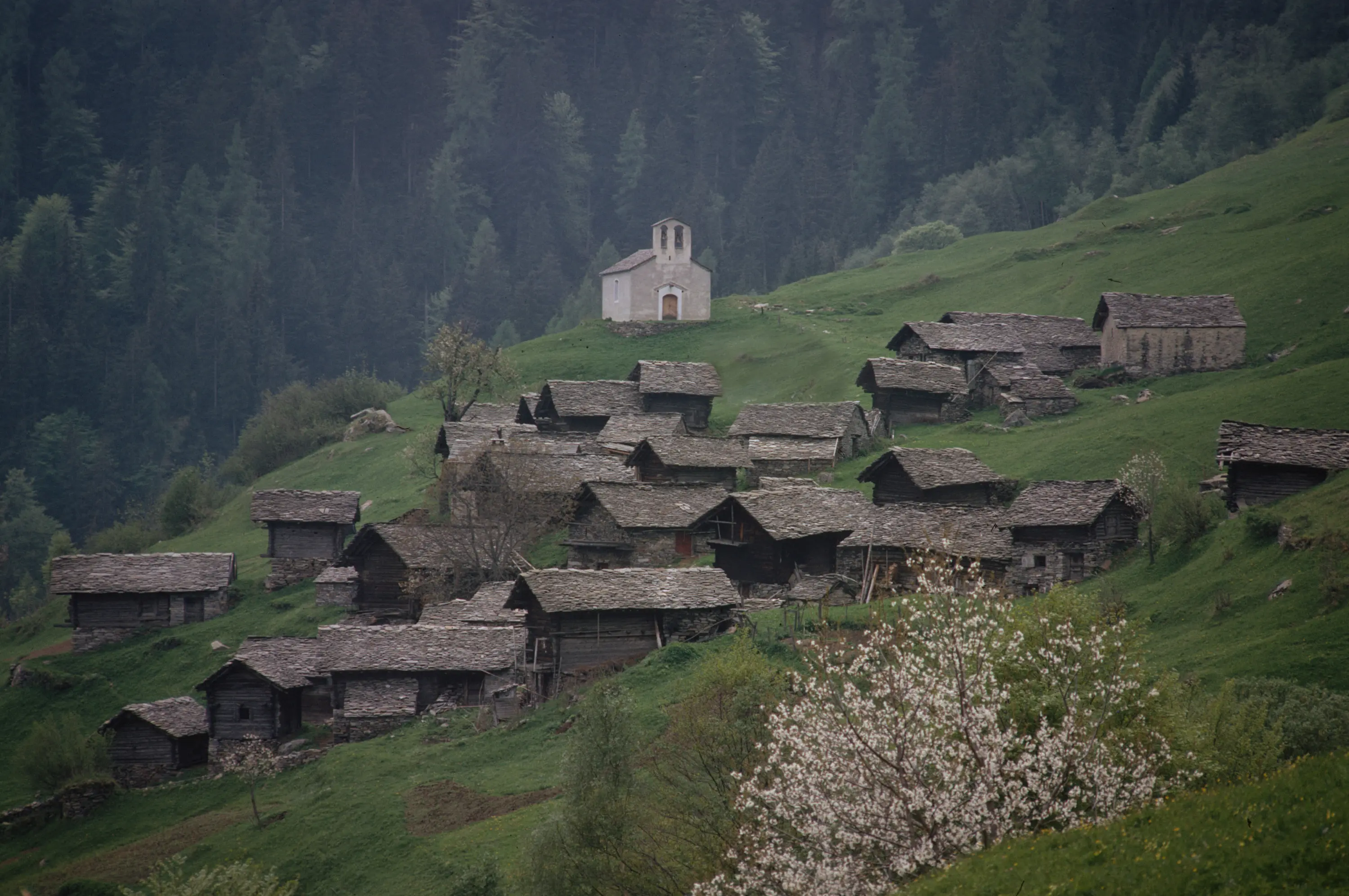 Un accogliente villaggio di montagna con case in legno dai tetti di pietra, circondato da alberi verdi. Sullo sfondo, una piccola chiesa bianca e fioriture primaverili in primo piano.